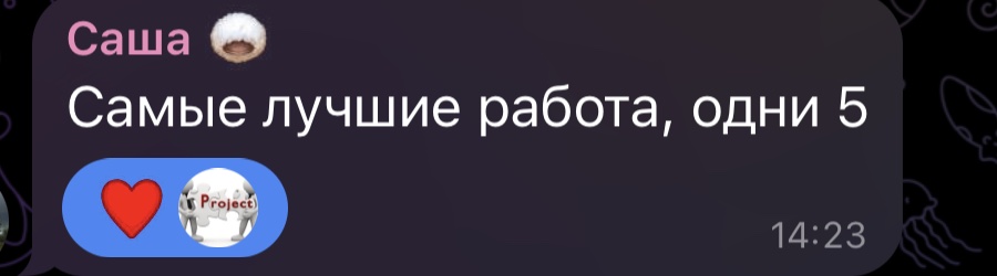 Отзыв: самые лучшие работы, одни пятёрки